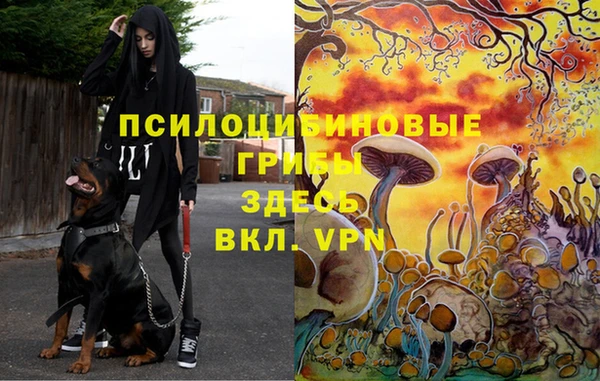 скорость mdpv Костерёво